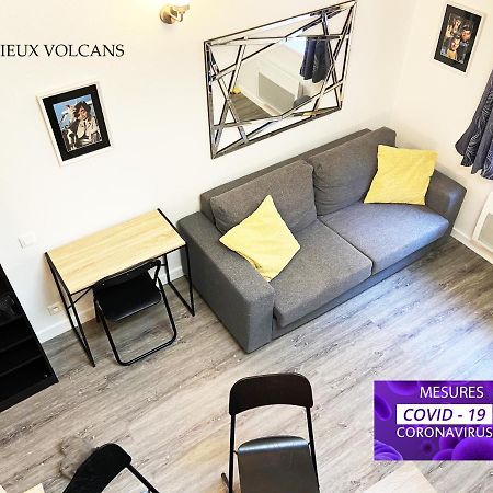 Vivez Sur Un Volcan, Vivez Clermont Ferrand Apartment Ngoại thất bức ảnh