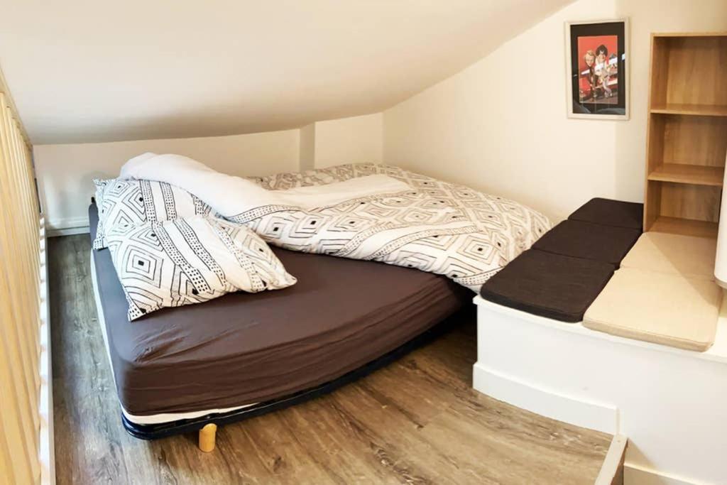Vivez Sur Un Volcan, Vivez Clermont Ferrand Apartment Ngoại thất bức ảnh