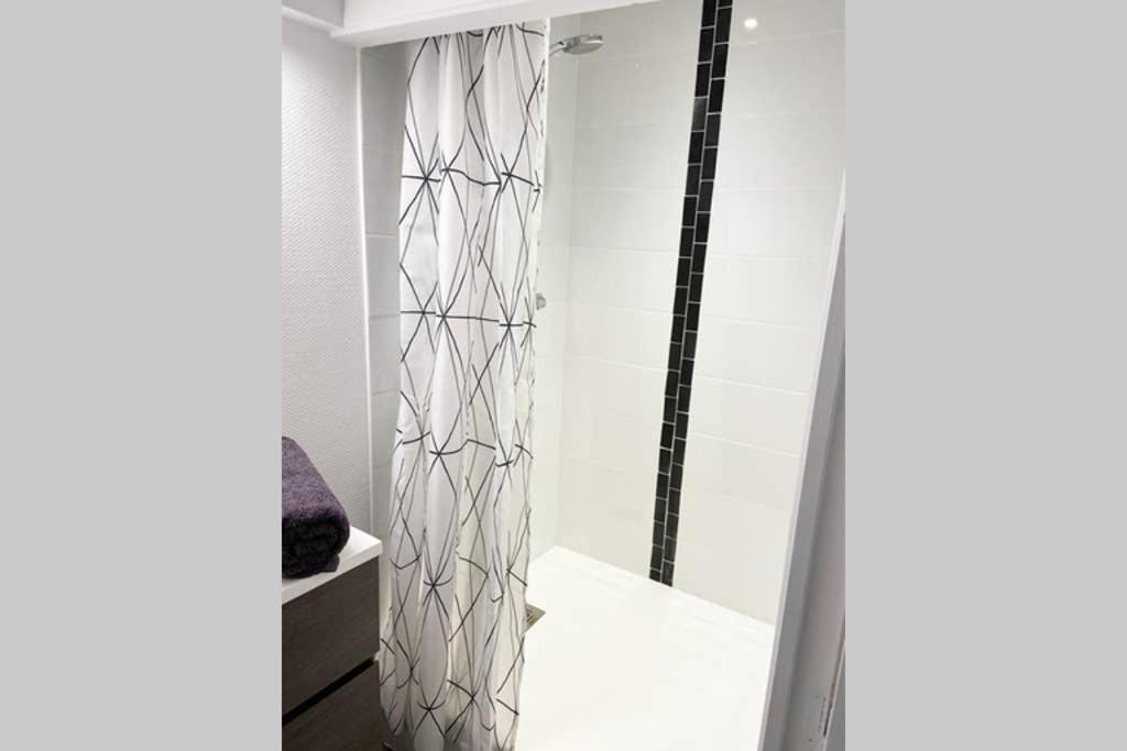 Vivez Sur Un Volcan, Vivez Clermont Ferrand Apartment Ngoại thất bức ảnh