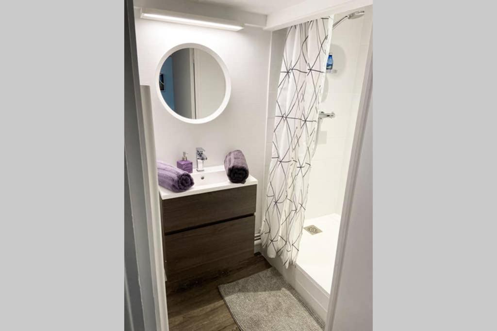 Vivez Sur Un Volcan, Vivez Clermont Ferrand Apartment Ngoại thất bức ảnh