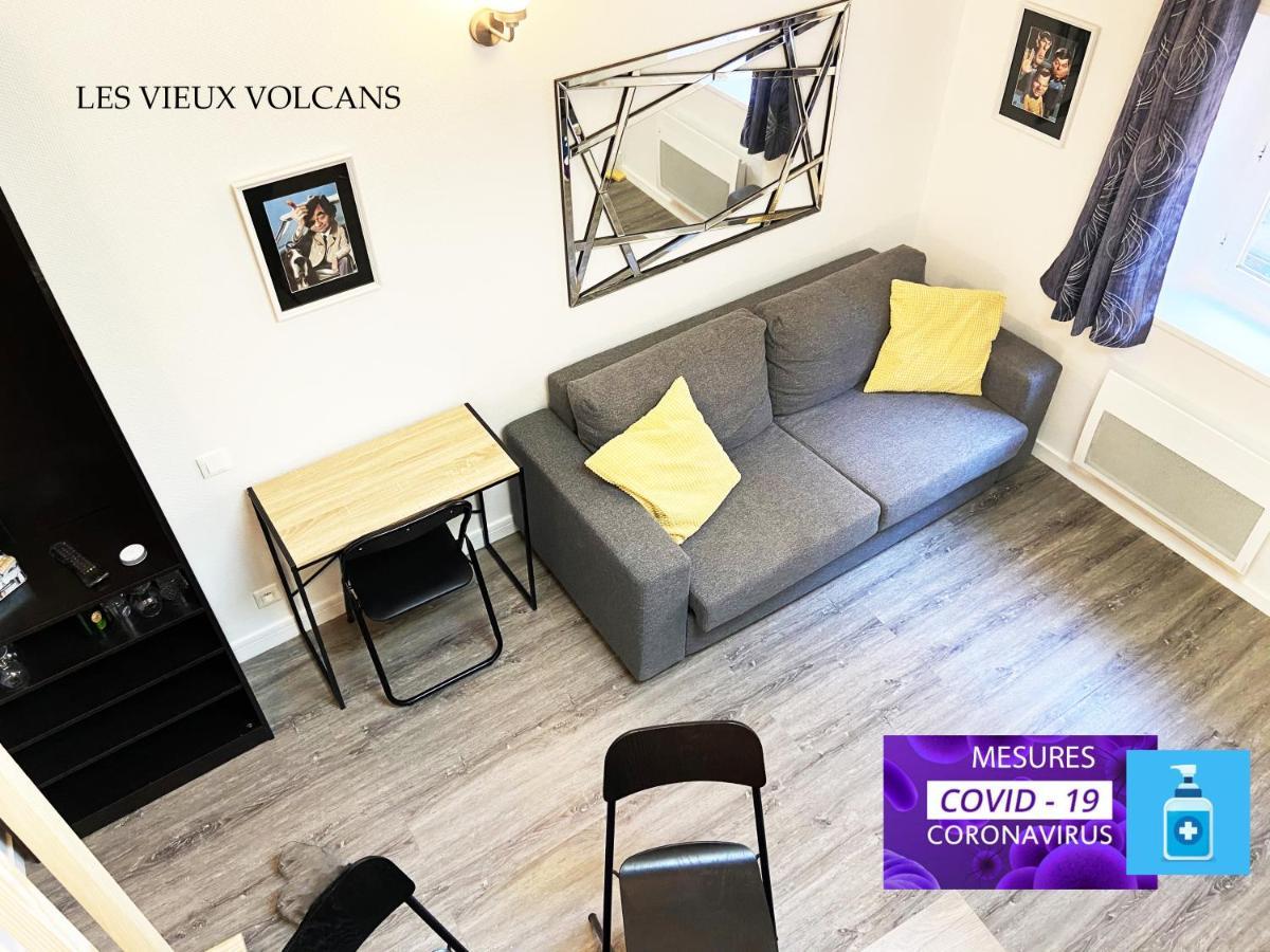 Vivez Sur Un Volcan, Vivez Clermont Ferrand Apartment Ngoại thất bức ảnh